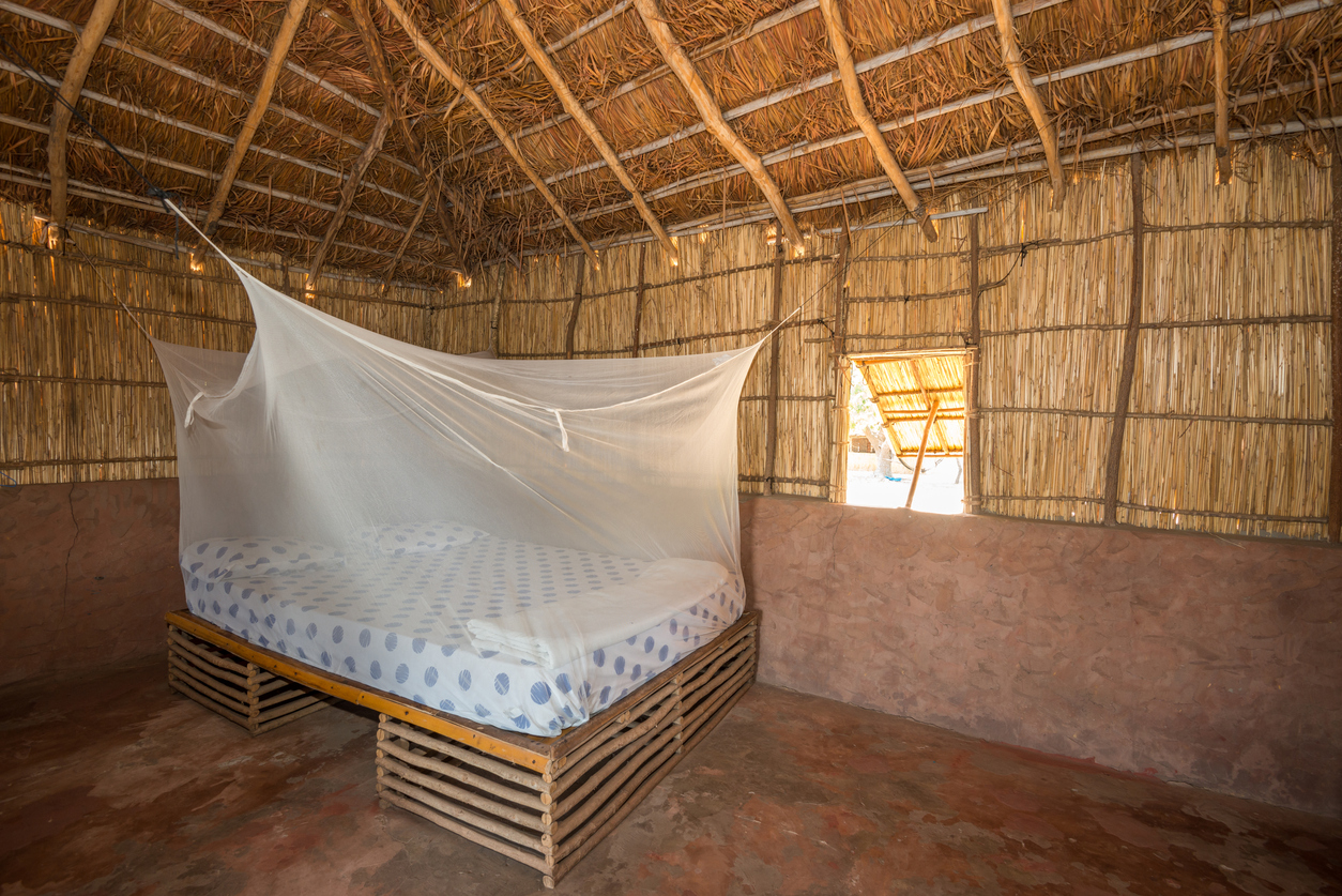 Frugal Housing Improvement as a Malaria Control Strategy