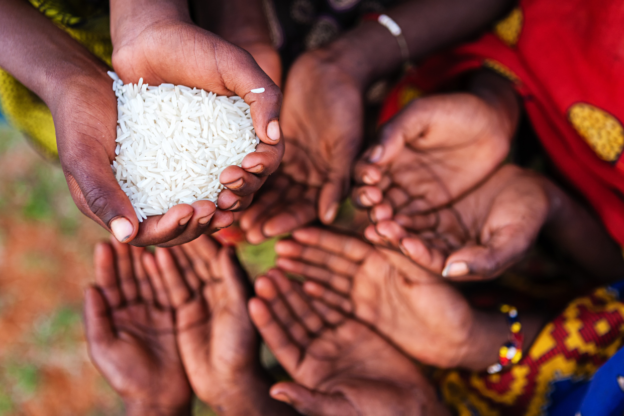 End to Hunger and Malnutrition is a Long Game with a Plan in Concert